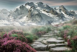 启示录的汉化补丁去哪下，启示录下载链接？