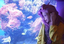 赛尔号盖亚觉醒怎么打，赛尔号盖亚平民打法？